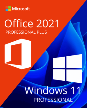 PAQUETE: Windows 11 Pro + Microsoft Office 2021 Professional Plus